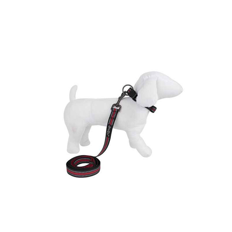 Rotes Doogy Sporthalsband