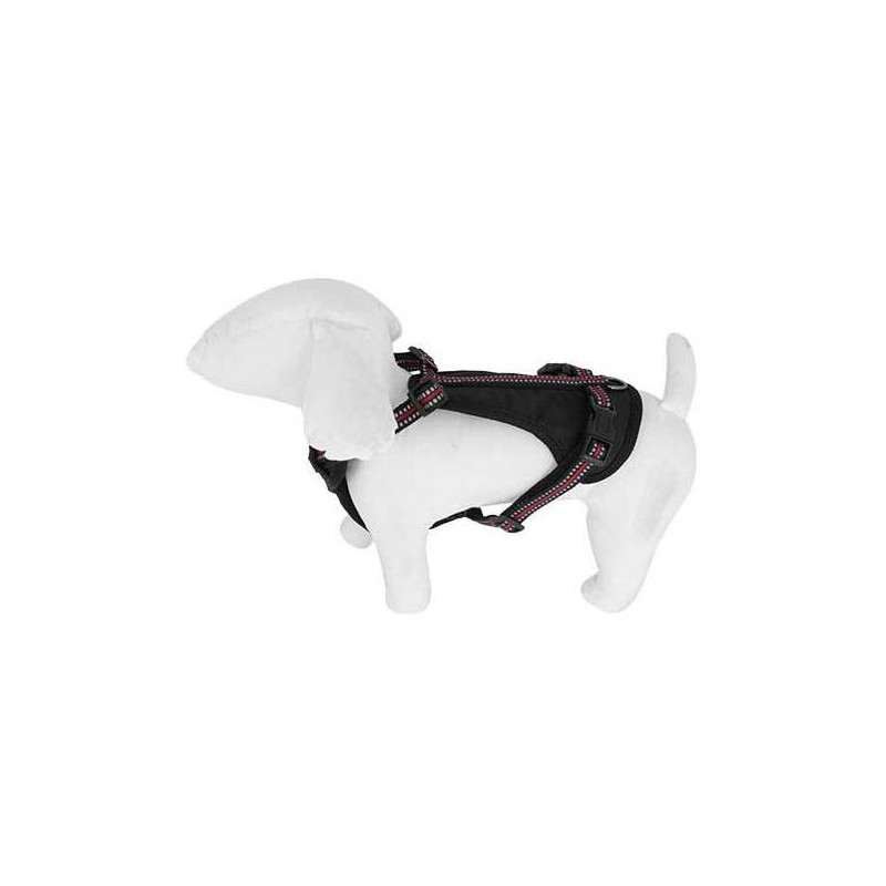 Red Doogy Sport Harness
