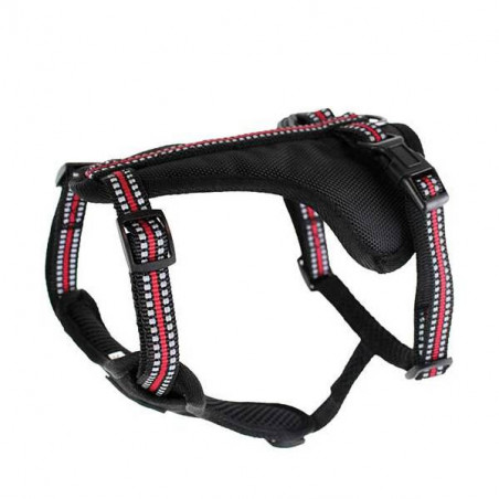Red Doogy Sport Harness