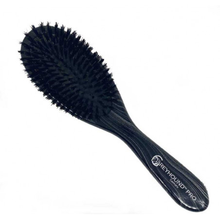 Greyhound, Brosse medium poils de sanglier
