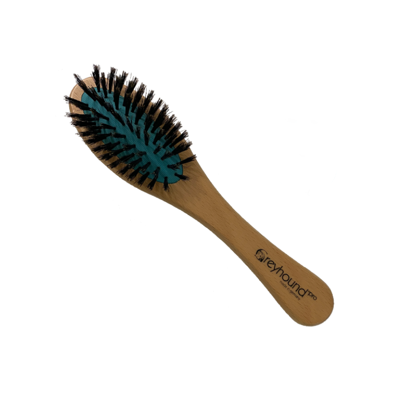 Greyhound, Small Boar Bristle Brush