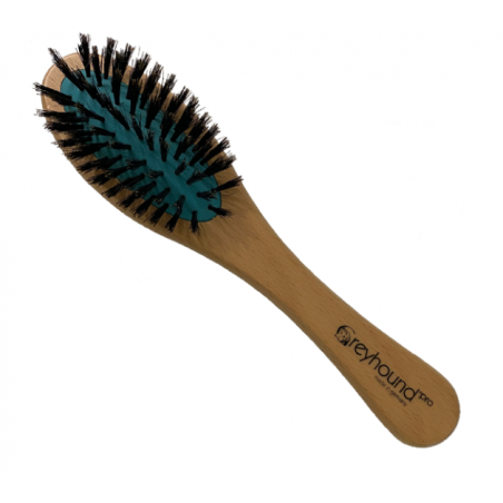 Greyhound, Brosse small en poils de sanglier