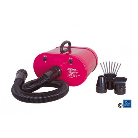 Soffiatore Tornado Turbo II