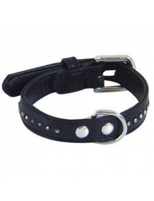 Chadog, Collar Glamorous Negro 1 Fila