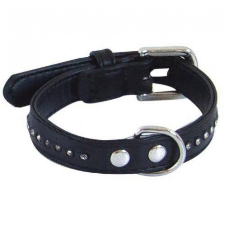 Chadog, Glamorous Collar Negro 1 Fila