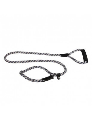 lasso leash