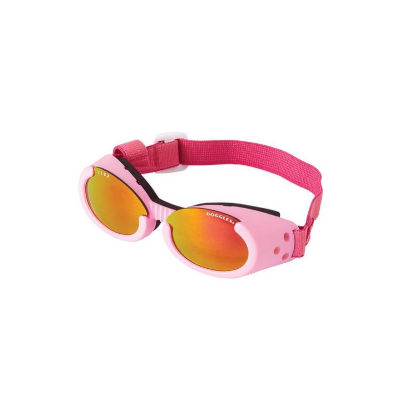 doggles sunglasses