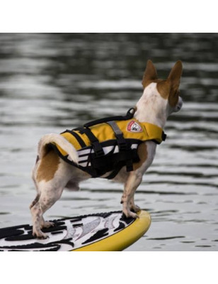 small dog life jacket