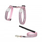 Ensemble harnais et laisse Red Dingo Chats Reflective rose