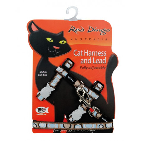 Conjunto arnés y correa Red Dingo Fancy Cats marrón
