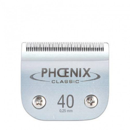Phoenix, testina classica n. 40 Phoenix