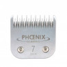 Phoenix, Cutting head n ° 7 Phoenix Classic
