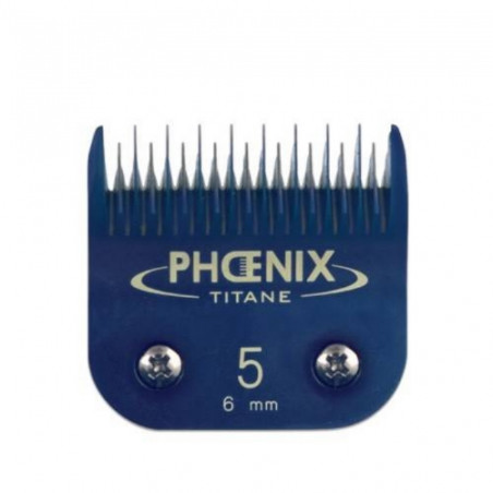 Phoenix, Tête de coupe n°5 Phoenix Titane Céramique