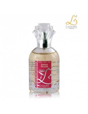 Ladybel, Sweet Odor Fraise Ladybel 50 mL