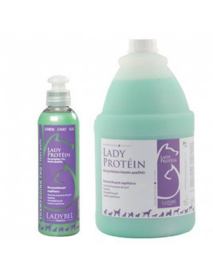 Ladybel, Shampooing Lady Protein par LadyBel