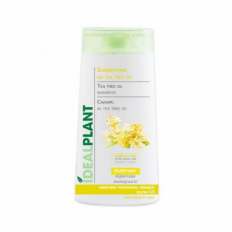 Idéalplant, Shampooing IdealPlant au Tea Tree Oil