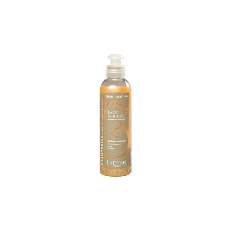 Ladybel, Lady Apricot Shampoo by LadyBel