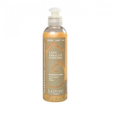 Ladybel, Lady Apricot Shampoo von LadyBel