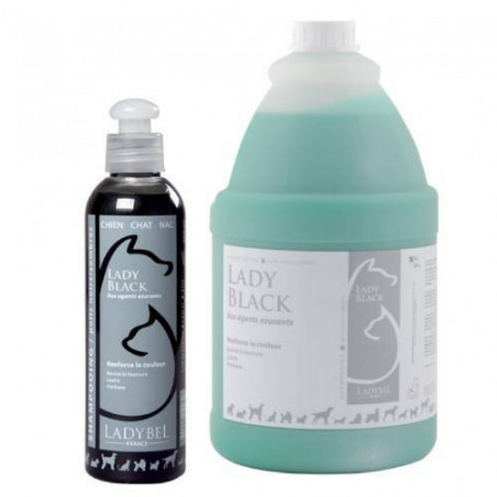 Ladybel, Lady Black Shampoo by LadyBel