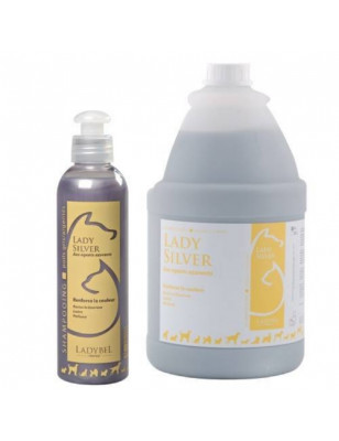 Ladybel, Lady Silver Shampoo von LadyBel