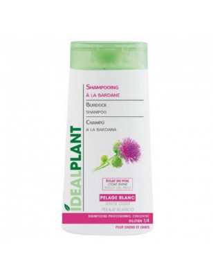 Idéalplant, IdealPlant Burdock und Cedar Shampoo