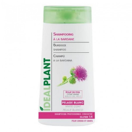 Idéalplant, Shampooing IdealPlant à la bardane et au thuya
