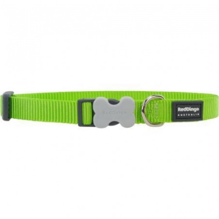 Red Dingo, Red Dingo Basic Collar Ajustable Verde