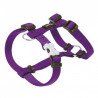Red Dingo, Red Dingo Basic adjustable harness purple