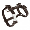 Red Dingo, Red Dingo Basic adjustable harness black