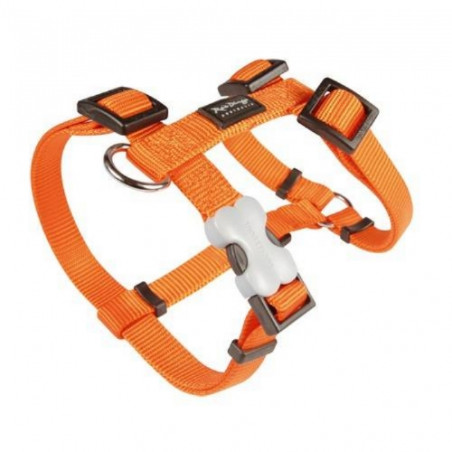 Red Dingo, Red Dingo, Harnais réglable Basic orange
