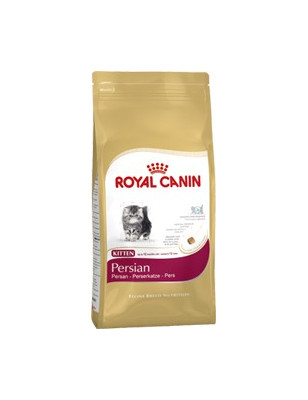 Croquettes Royal canin kitten persian
