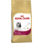 Croquettes Royal canin kitten persian Croquettes Royal canin kitten persian