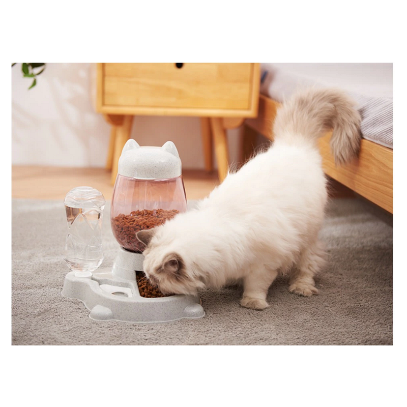 Distributeur Pop croquette et eau grise