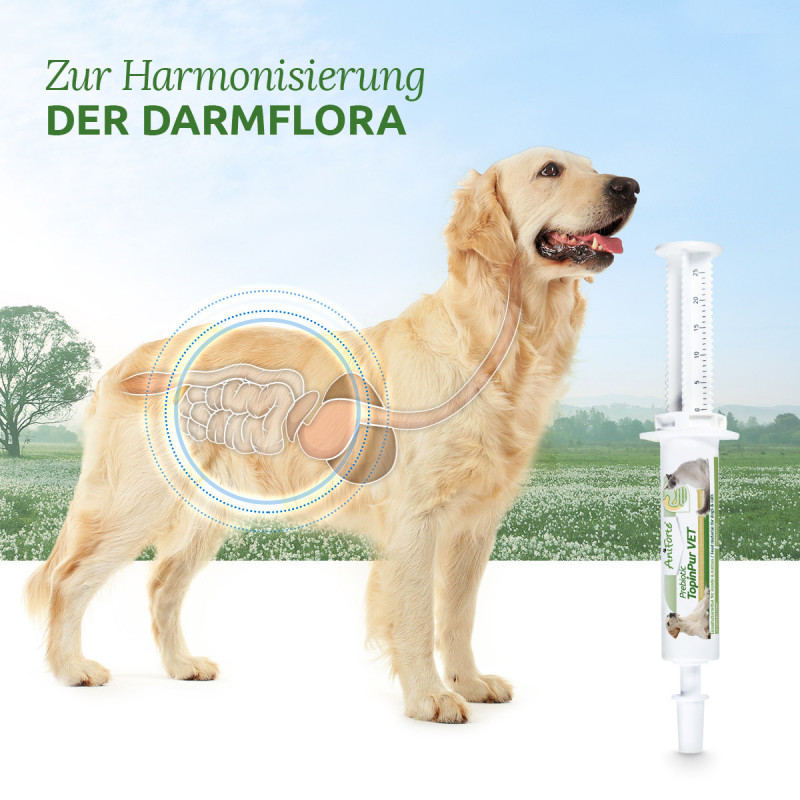 ANIFORTE, Prébiotique TopinPur VET