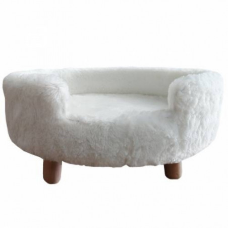 Sofa Cat or Small Dog