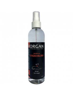 Morgan, Detangling spray scent Ginko Biloba