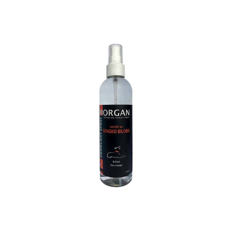 Morgan, Detangling spray scent Ginko Biloba Morgan, Detangling spray scent Ginko Biloba