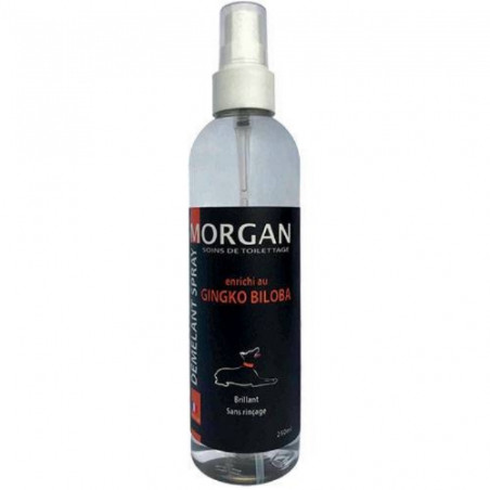 Morgan, Spray démêlant senteur Ginko Biloba
