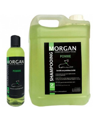 Morgan, Morgan Apple Protein Shampoo
