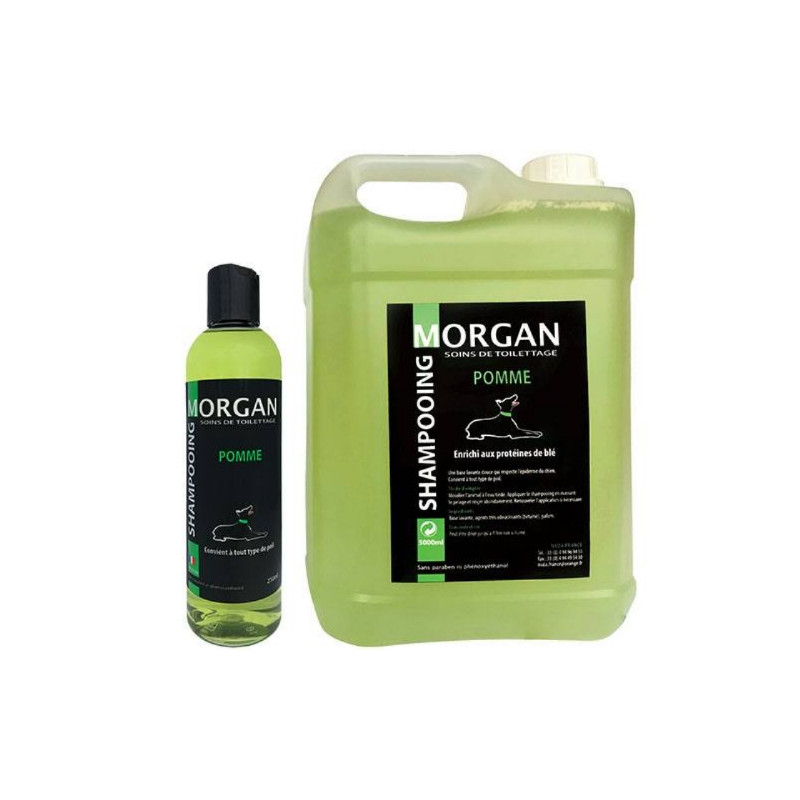 Morgan, Morgan Apple Protein Shampoo