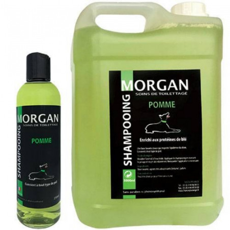 Morgan, Morgan Apfelprotein-Shampoo
