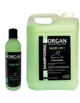 Morgan, 2 in 1 mother-of-pearl shampoo