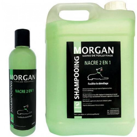 Morgan, 2-in-1-Perlmutt-Shampoo