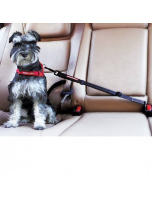 Ezydog, Correa de seguridad para coche Ezydog