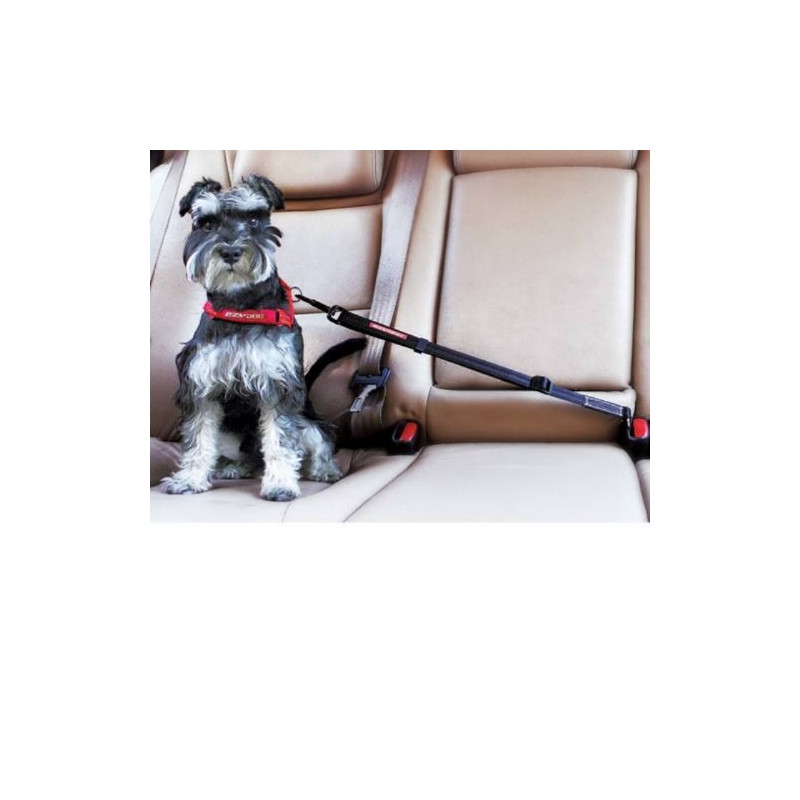 Ezydog, Laisse de sécurité pour voiture Ezydog