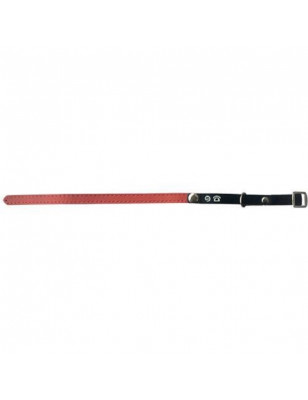 Doogy, Red address tag cat collar