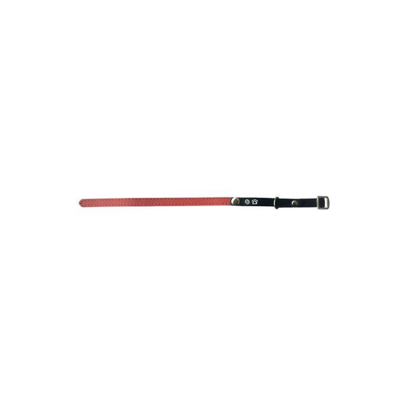 Doogy, Collier chat porte adresse rouge Doogy, Collier chat porte adresse rouge