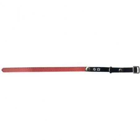 Doogy, Collier chat porte adresse rouge