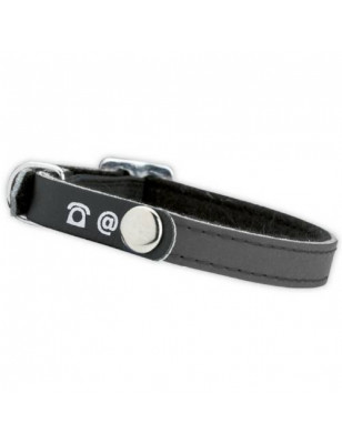 Doogy, Cat collar gray address