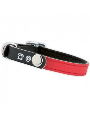 Doogy, Collier chat porte adresse rouge